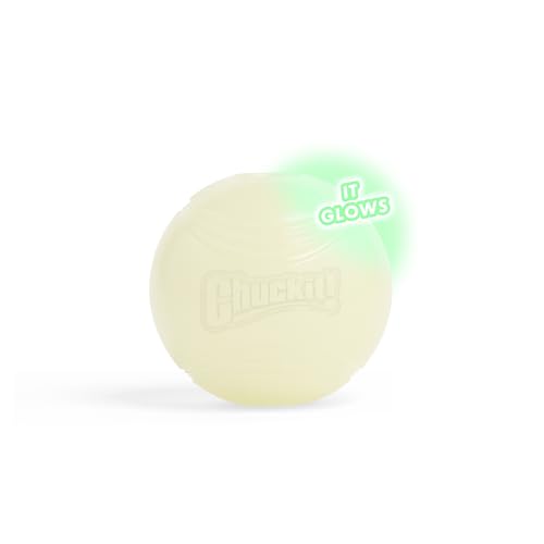 Chuckit! Glow in the Dark Bouncy Balls - Ball for Dogs, Chuckit Dog Toy, Max Glow Balls - Medium, 2.5 Inch, Pack of 4 - size: Medium