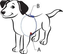The Original Sense-ation No-Pull Dog Training Harness (Blue, Medium-Large Wide)
