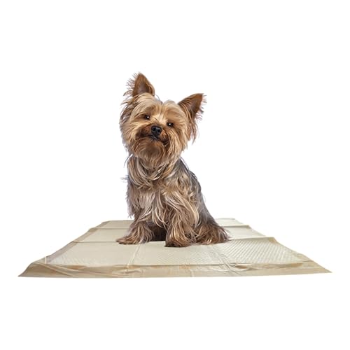 WizSmart Essentials Large Dog Pads, 23.5" x 22", Extra Absorbent Puppy Training Pads, Indoor Potty Pads, Leakproof Gel Pads for Small Dogs, Crate, House, Travel, Eco-Friendly, Non-Slip - 10 Count - size: 10 pads