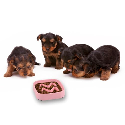 2 Pack Slow Feeder Bowls - Small Breed, Pink Silicone, Slow Down Eating Speed for Medium Small Breed Dogs & Cats