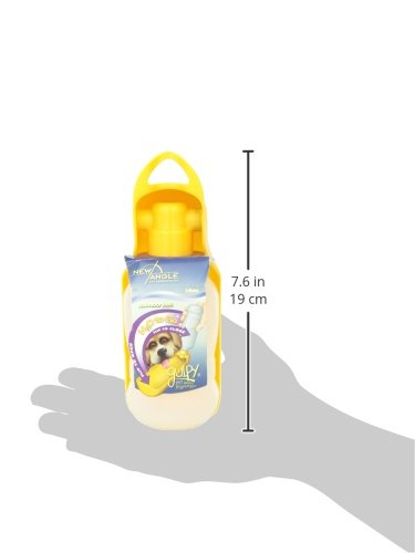 Water Dispenser for Pet, 10-Ounce, Orange