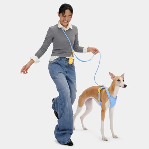 VETRESKA Crossbody Hands Free Dog Leash, 5FT Adjustable Rope Leash for Small Medium Dogs, Waist Multifunctional Leashes for Walking, No Pull Dog Leashes with Bag Dispenser, 2 in 1 Walk Set (Daisy) - color: Daisy Blue