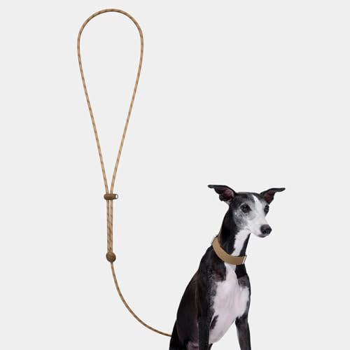 VETRESKA Crossbody Hands Free Dog Leash, 5FT Adjustable Rope Leash for Small Medium Dogs, Waist Multifunctional Leashes for Walking, No Pull Dog Leashes with Bag Dispenser, 2 in 1 Walk Set (Coffee) - color: Coffee Brown