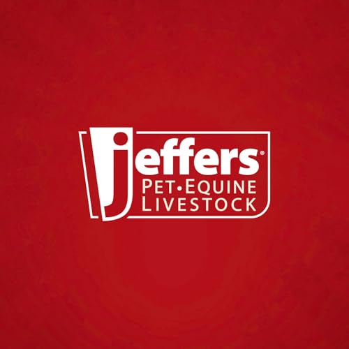 Jeffers Pet Heavy Weight Stainless Steel Pet Bowls for Dogs & Cats,16 oz – Durable Food & Water Dish, Non Slip, Rust Resistant, Dishwasher Safe Feeding Bowl for Home, Travel, Indoor & Outdoor