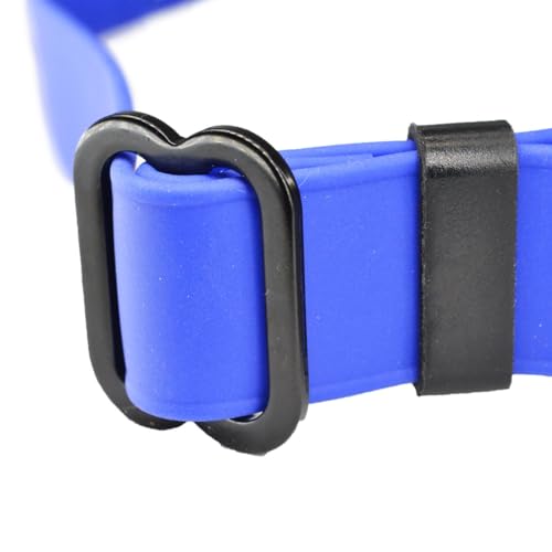 Ray Allen Adjustable Biothane Dog Collar, Large, Blue - color: Blue, size: 18" - 28"