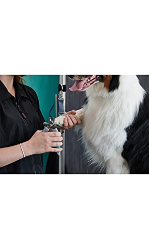Groomer Essentials Large Nail Clippers