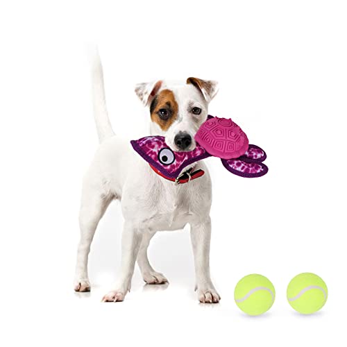 Dog Chew Toys,Puppy Teeth Chew Toys Durable Rubber Material Turtle Shape Dog Toys with 2 Tennis Ball (Red) - color: Red