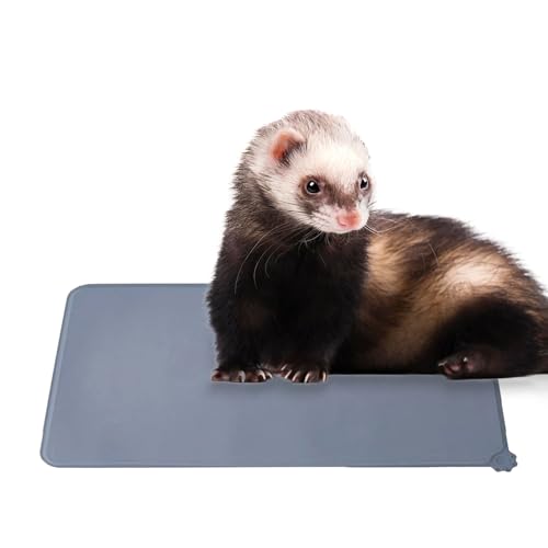 Silicone Pet Feeding Mat for Dogs & Cats – Non-Skid Waterproof Food & Water Bowl Mat with Raised Edges, Easy to Clean Pet Food Floor Mat, Durable Gray Pet Placemat, 19 x 12 Inches