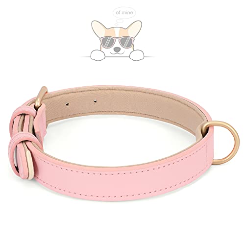 WHIPPY Leather Dog Collar for Small Medium Large Dog Adjustable Soft Breathable Leather Padded Puppy Collar with Alloy Buckle Heavy Duty Waterproof Classic Dog Pet Collar,Pink,XS - color: pink, size: XS:8" - 11"(0.59"width)