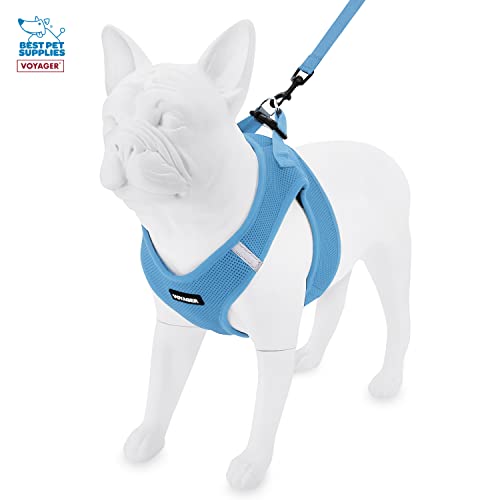 Voyager Step-in Air All Weather Mesh Harness and Reflective Dog 5 ft Leash Combo with Neoprene Handle, for Small, Medium and Large Breed Puppies by Best Pet Supplies - Blue, X-Large - color: Leash Harness Set (Baby Blue Base), size: XL (Chest: 20.5 - 23")