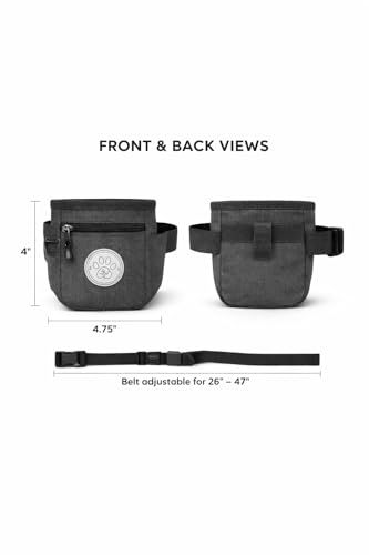 Dog Treat Pouch with Adjustable Waist Belt – Hands-Free Dog Training Bag, Treat Holder with Zipper Pocket for Phone & Keys, Lightweight, Durable & Easy to Clean, (Grey) - color: Grey