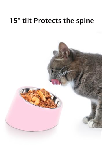 15° Tilted Dog Bowl for Medium Dogs & Flat-Faced Breeds - Anti-Choke Ergonomic Elevated Feeder Non-Slip Base - 2-in-1 Detachable Stainless Steel Food (L, Pink) - color: Pink, size: L