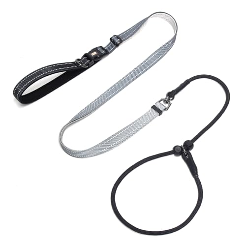 QQPETS Adjustable Slip Lead Dog Leash, Hands Free Waist Leash for Dog Walking, Reflective Training Lead with 360° Swivel Anti-Tangle, 4-7 ft Length for All Breeds - color: Grey Gradient