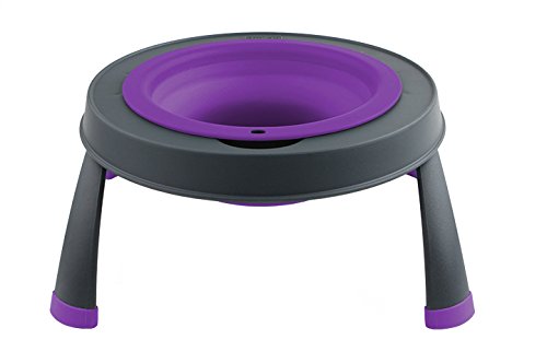 Dexas Popware for Pets Single Elevated Pet Feeder, Small, Gray/Purple - color: Gray/Purple, size: Small/1.5 Cup Capacity
