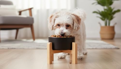 Elevated/Raised Ceramic Dog Bowl with Bamboo Stand,8 inch 7.6 Cups Non-Slip Heavy-Weighted Single Pet Dish, Reduces Neck Strain Black - color: Black, size: 7.6Cups - Large