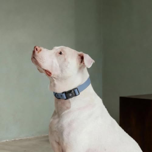 Fei & Eve VERO Dog Collar, Dusk Blue, Medium | MagEase Magnetic Buckle, Waterproof PVC, Odor Resistant, Easy Clean, Heavy Duty - color: Dusk Blue, size: M