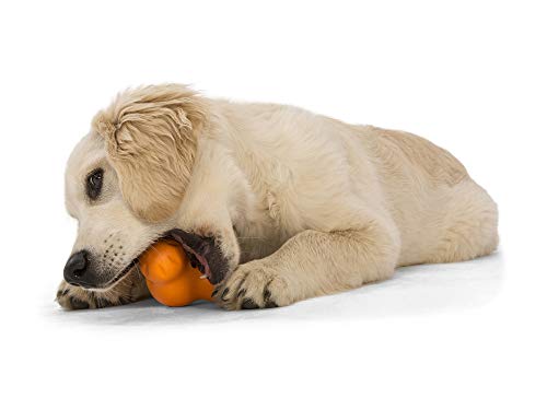 WEST PAW Zogoflex Tux Interactive Treat Dispensing Dog Chew Toy for Aggressive Chewers, 100% Guaranteed Tough, It Floats!, Made in USA, Small, Tangerine - color: Tangerine, size: Small