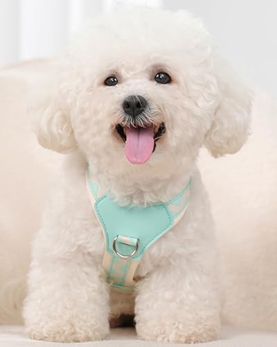 Petank Blue xs Dog Harness for Small Dogs, No Pull Dog Harness with 2 Leash Clips,Puppy Harness, Adjustable Dog Vest Harness (Blue, XS) - color: Blue, size: XS