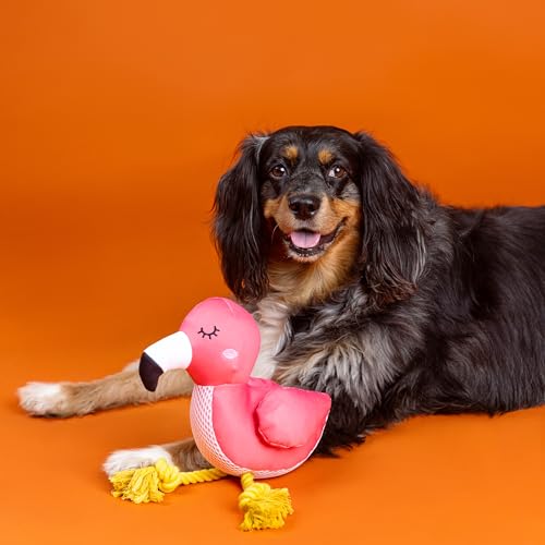 Fringe Studio Floating Dog Toy with Rope BE FLAMAZING, Pet Shop Collection (640028) - color: Be Flamazing