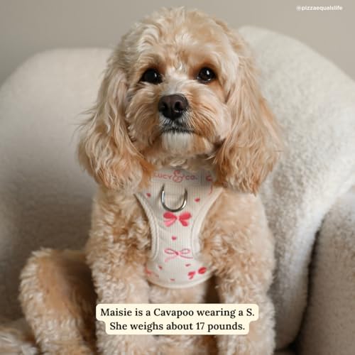 Lucy & Co. Ever So Sweet No-Pull Dog Harness, Adjustable Front Clip Harness with Comfort Padding, X-Large - color: Ever So Sweet, size: X-Large