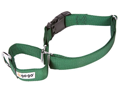 GOGO Pet Products 1-Inch Martingale Dog Collar, Large, Hunter Green - color: Hunter Green, size: Large (1" web width)