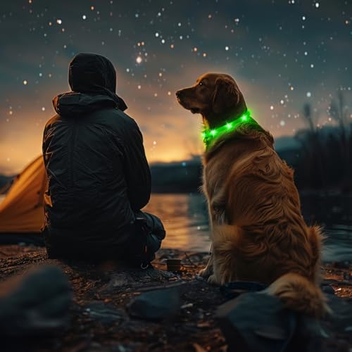 LED Dog Collar - HIGO Light Up Dog Collars Glow in the Dark, USB Rechargeable LED Dog Necklace Light for Your Dogs Walking at Night (Green-Silicone) - color: Green-Silicone