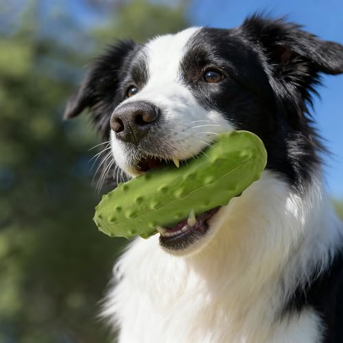 LIFLIX Tough Squeaky Dog Toys, Durable Dog Chew Toy with Natural Rubber, Teething Toys for Medium Large Breeds, Cucumber Pickle Shape - color: Green