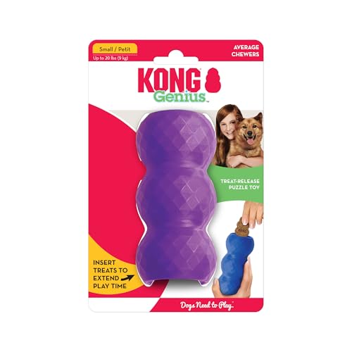 KONG - Genius Mike - Interactive Treat Dispensing Dog Puzzle Toy (Assorted Colors) (Small (2 Pack))
