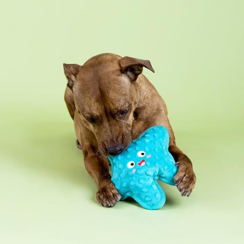 Fringe Studio I'm A Star Durable Plush Dog Toy, Pet Shop Collection (729159) - color: I'm a Star