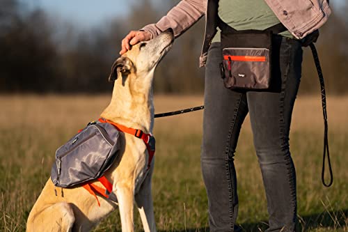 iEnergy™ ELI Belt Pouch: Ideal Dog Training Accessory, Hands-Free Dog Walking Belt with Treat Pouch, Magnetic Closure, Waist Pack for Dog & Horse Owners - Perfect Dog Hiking Gear (Green)