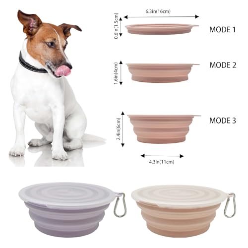 Medium Collapsible Dog Bowl 23oz,2 Pack Portable and Foldable Pet Travel Bowls with 2 Carabiners & Lids for Dogs Cats and Small Animals (Macaron Purple+Pink, 650ml)