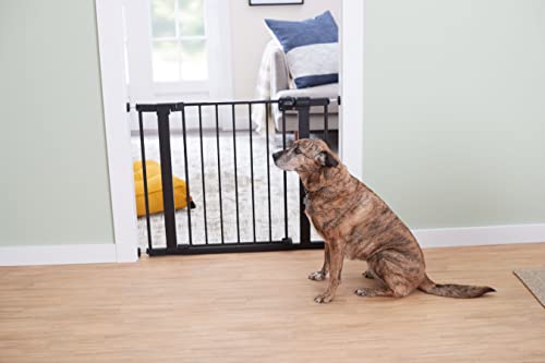 Safety 1st Easy Install 28'' Walk Thru Gate, Fits Between 29'' and 38'', Black, 1-Pack,(GA105CBLK) - color: Black, size: 1-Pack