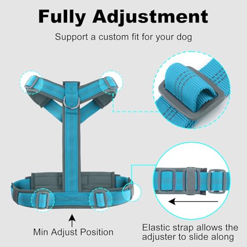 Plutus Pet No Pull Dog Harness, Adjustable Nylon Harness with Soft Padding, Reflective and Heavy Duty Dog Harness for Small, Medium, Large Dogs(Cyan, S) - color: Cyan, size: S