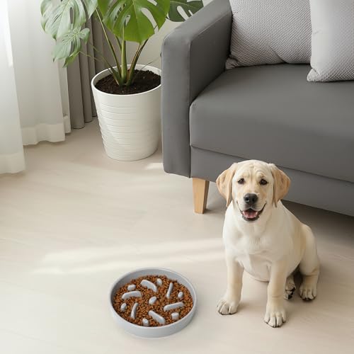 Ceramic Slow Feeder Dog Bowl, 2 Cups Dog Food Bowls for Small, Medium, and Large Breed, Anti-Slip Puzzle Food Dish to Slow Down Eating (Grey, 2 Cups) - color: Maze - Grey
