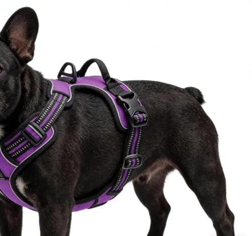 Purple No-Pull Dog Harness with 2 Leash Clips,Soft Padded Vest for Medium Dog, Adjustable Reflective Dog Vest Easy to Put on and Take Off, (Neck: 14"~20", Chest: 21"~27", Purple M) - color: Purple, size: Medium
