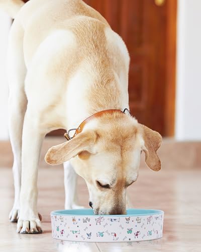 Slow Feeder Dog Bowl, Ceramic Dog Bowls 1.5 Cup Puzzle Feeder - Stops Fast Eating, Prevents Bloat, Choking & Black Chin for Medium/Large Dogs, Blue - color: Blue