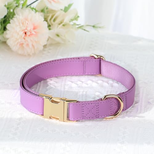 PET ARTIST PU Leather Dog Collar, Bright & Stylish Purple Dog Collar Girl with Quick Release Gold Metal Buckle, Soft Nylon Padded Durable Pet Collars Adjustable for Medium Dogs, Neck Fit 13-19" - color: Purple, size: M: Fit 13-19" Neck(20-55 lbs)