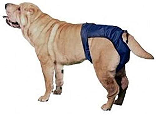 Integrated Pet Solutions SnuggEase Washable Dog Diaper (Pack of 2), Large - size: Large, style: Two pack