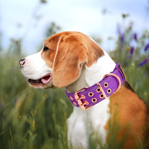 Heavy Duty Tactical Dog Collar with Neoprene Padded and Metal Buckle, Reflective Nylon for Medium to Large Dogs(Purple, Large) - color: Purple, size: Large (Pack of 1)