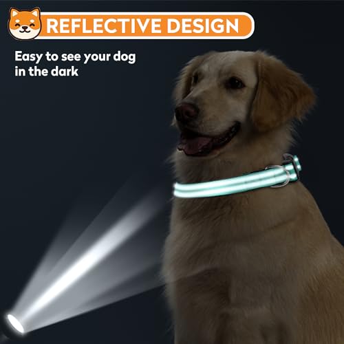 Reflective Dog Collar, Adjustable Soft Neoprene Padded Nylon Pet Collars with Buckle for Puppy and Small Dogs, Cats, Teal,XS - color: Teal, size: X-Small
