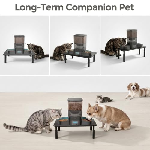 Raised Automatic Cat Feeder Stand for Double Bowl Feeders, Carbon Steel 14.57 x 9.25 in, 3 Adjustable Heights 3.94-5.5 in, Non-Slip, Fits Feeders & Water Dispensers, No-Drill (Black) - color: Black