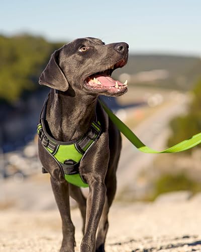 Joytale No Pull Dog Harness Medium Sized Dog, Reflective Pet Vest with Front Clip, Adjustable Soft Padded Harnesses with Easy Control Handle for Training and Walking, Green, M - color: Green, size: Medium