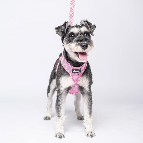 PUPTECK Dog Harness and Leash Set for Small Medium Dogs No Pull Step-in Soft Mesh Puppy Cat Vest Harnesses Reflective at Night, Pink M - color: #1 Pink(Basic Mesh), size: M(CHEST 16"-18", 11-18 lbs)