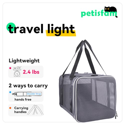 Soft Pet Carrier Bag for Cats and Puppy Under 20 lbs. Sturdy, Safe, Comfortable and Lightweight - color: Grey