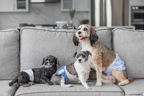 Pet Parents® Washable Belly Bands for Male Dogs (3pack) + Extendrs® of Durable Dog Diapers Male, Premium Male Dog Diapers & Dog Wraps (X-Small, Kahuna) - color: Kahuna, size: X-Small (11-13")