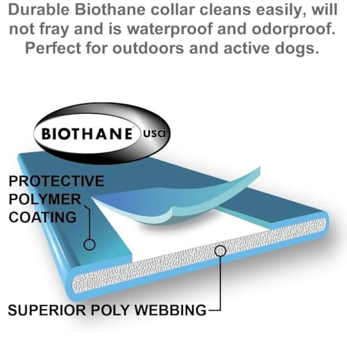 Educator RX-1000 Receiver On Biothane Collar for E-Fence Underground Fence Containment System for Dogs, Black - size: Additional Reciever Collar