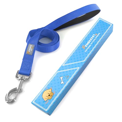 Basic Dog Leashes 6 FT Padded Handle Nylon Dogs Leashes for Small Dogs Blue - color: Blue, size: Small : 5/8" x 6 FT