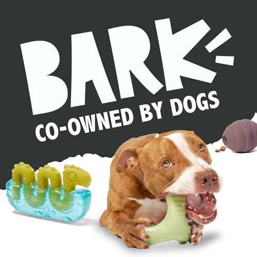 Barkbox Bear Hugger Dog Toy for Aggressive Chewers | 2-in-1 Plush & Rubber Treat-Dispensing Toy for Small Dogs | Puppy Teething Toys & Dog Toys to Keep Them Busy - color: Bear Hugger