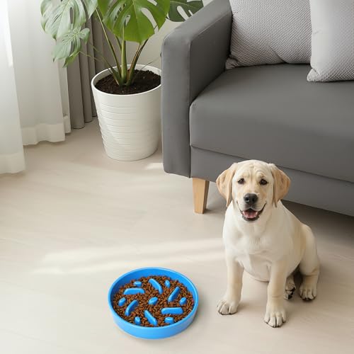 Ceramic Slow Feeder Dog Bowl, 2 Cups Dog Food Bowls for Small, Medium, and Large Breed, Anti-Slip Puzzle Food Dish to Slow Down Eating (Blue, 2 Cups) - color: Maze - Blue