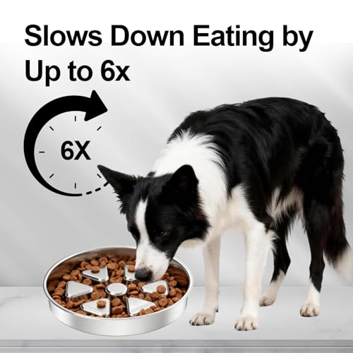 Kactoily 304 Stainless Steel Slow Feeder Dog Bowl, 2.5 Cups Non-Slip Pet Bowl, Raised Design for Slow Eating & Digestive Health - Perfect for Medium Large Dogs